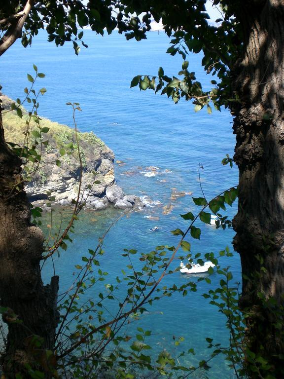 'la Vigna' Procida